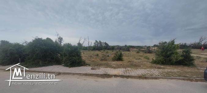 TERRAIN A JINEN BNI KHIAR