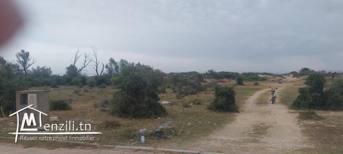 TERRAIN A JINEN BNI KHIAR