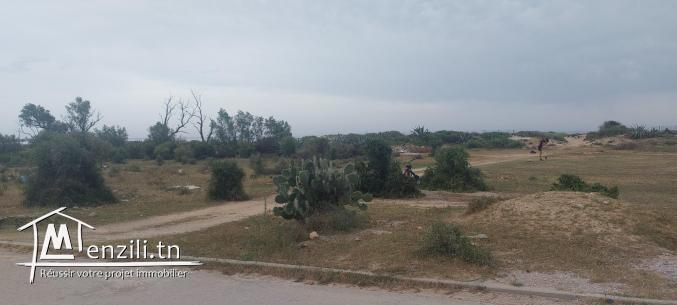 TERRAIN A JINEN BNI KHIAR