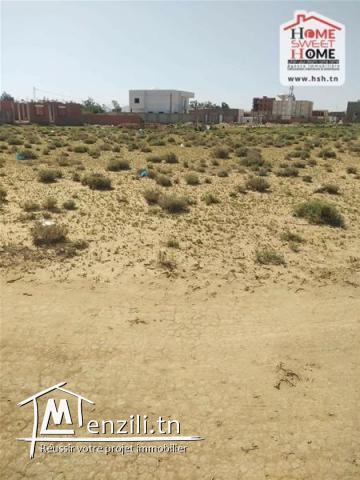 Terrain Boho à Vendre à Sidi Bouzid