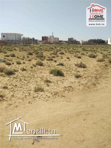 Terrain Boho à Vendre à Sidi Bouzid