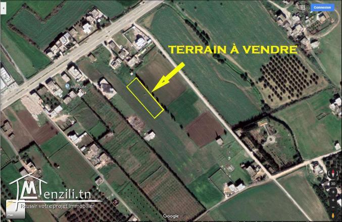 Terrain à vendre sur autoroute Menzel Bourguiba- Tunis