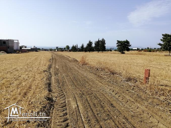 Terrain à vendre sur autoroute Menzel Bourguiba- Tunis