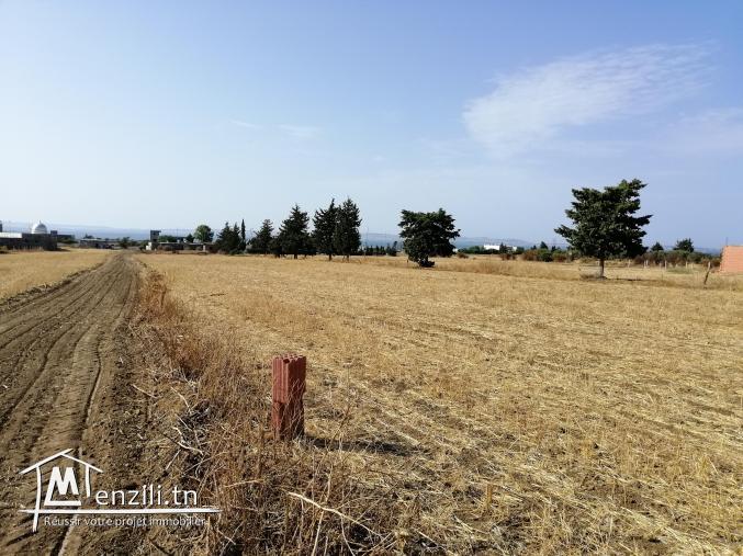 Terrain à vendre sur autoroute Menzel Bourguiba- Tunis