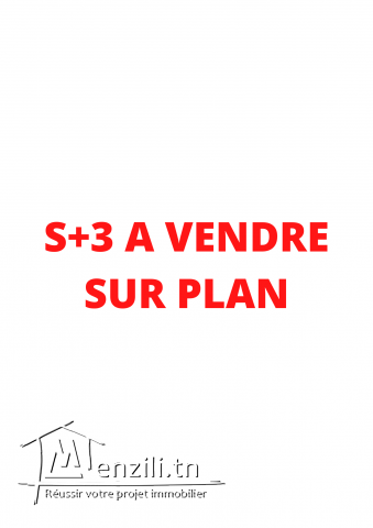 s3 sur plan aux jardins de carthage