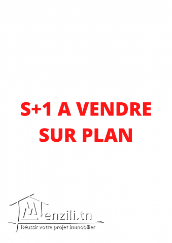 s1 sur plan aux jardins de carthage
