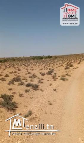 Terrain Agricole Ārce à Vendre à Sidi Aich
