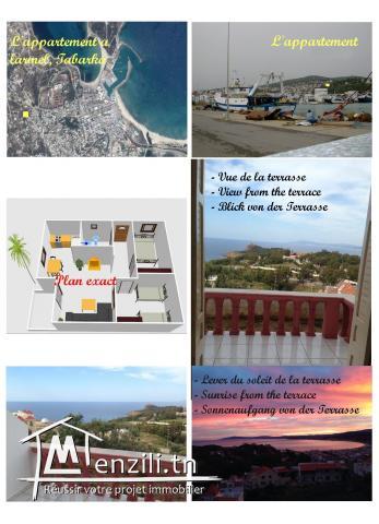 Vue panoramique sur mer et montagnes