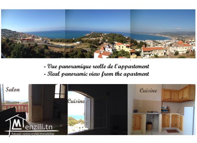 Vue panoramique sur mer et montagnes