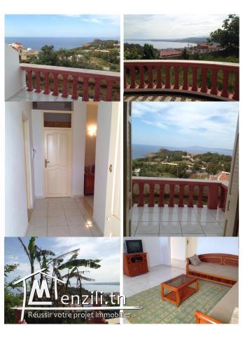 Vue panoramique sur mer et montagnes