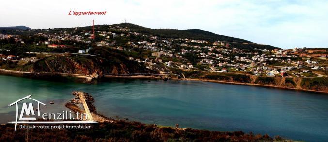 Vue panoramique sur mer et montagnes