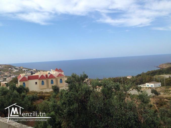 Vue panoramique sur mer et montagnes