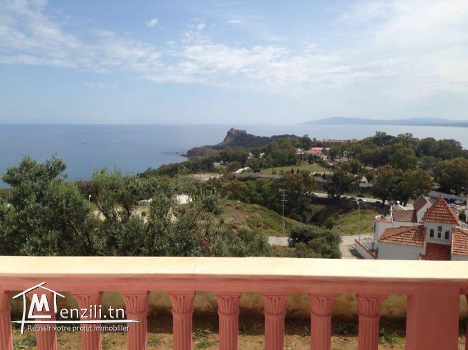 Vue panoramique sur mer et montagnes