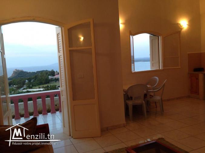 Vue panoramique sur mer et montagnes