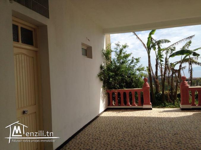 Vue panoramique sur mer et montagnes