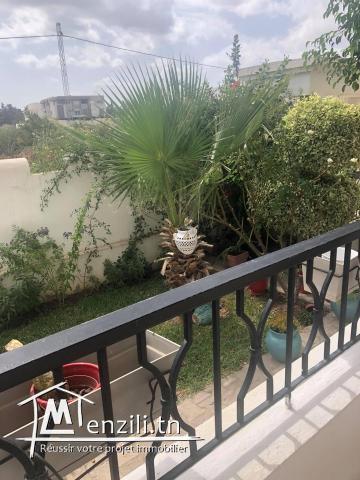 s+2 a vendre chotrana 1