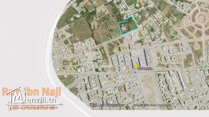 Promoteur vend des lots viabilisés pour villa