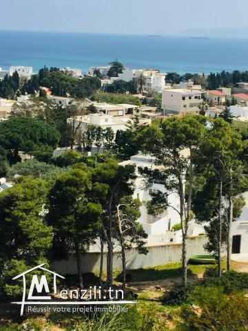 a louer apart s+1 corniche