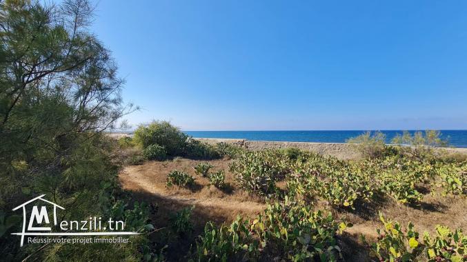 Magnifique terrain pieds dans l'eau