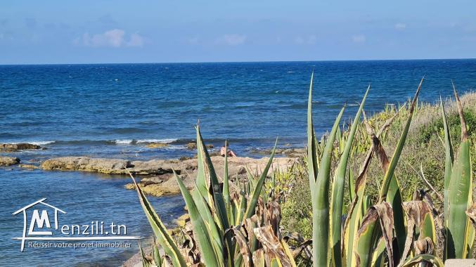 Magnifique terrain pieds dans l'eau