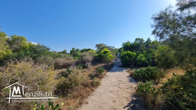 Magnifique terrain pieds dans l'eau