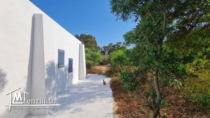 Magnifique terrain pieds dans l'eau