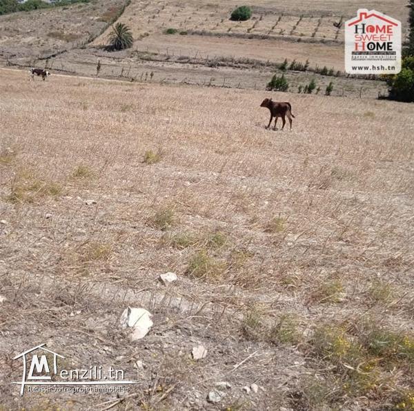Terrain Agricole Bayar à Vendre à Bizerte Sud