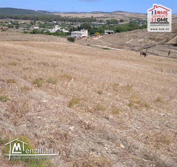 Terrain Agricole Bayar à Vendre à Bizerte Sud