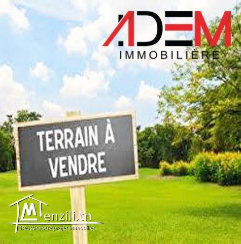 Offre de terrain pour lancer votre projet