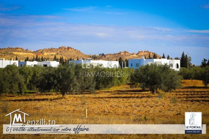 LOT A VENDRE A YASMINE HAMMAMET 22009305