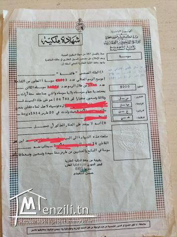 Terrain à vendre chott romaine hamem sousse