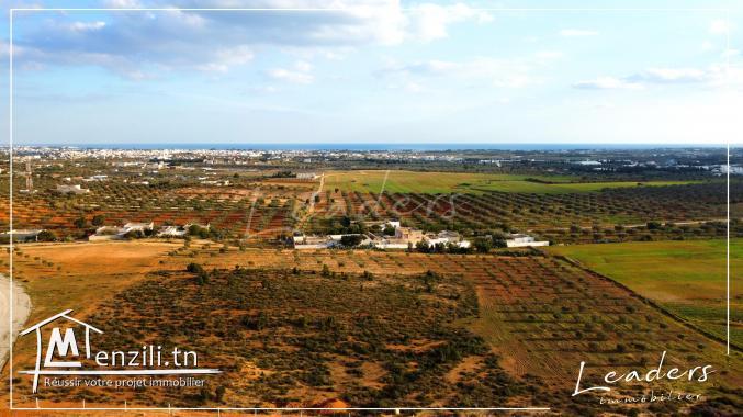 projet de lotissement à vendre en promotion profitez..