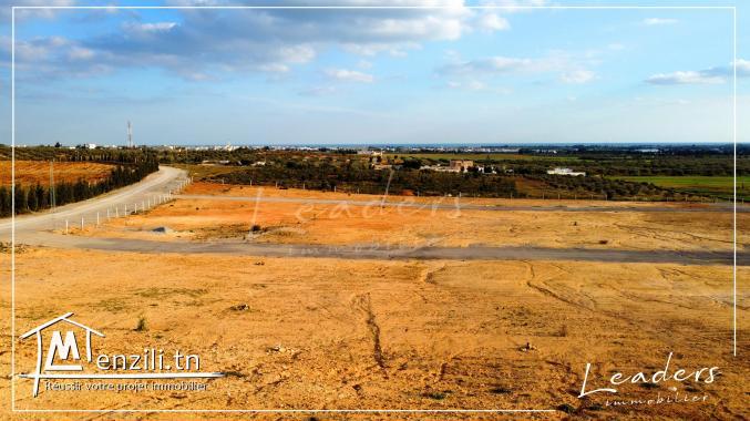 projet de lotissement à vendre en promotion profitez..