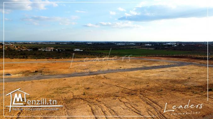 projet de lotissement à vendre en promotion profitez..