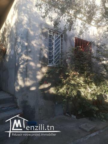 Maison non finie avec grand jardin