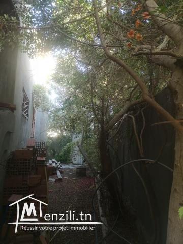 Maison non finie avec grand jardin