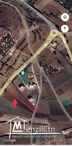 Terrain à vendre RasJebel