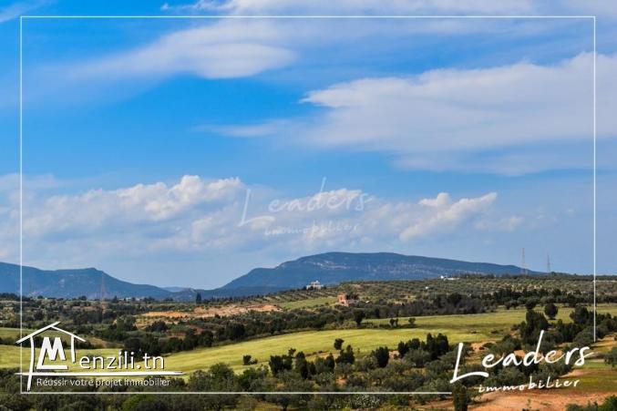 un projet de lotissement à vendre n promotion profitez .....