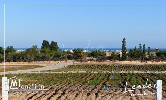 un projet de lotissement à vendre n promotion profitez .....