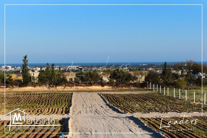 un projet de lotissement à vendre n promotion profitez .....