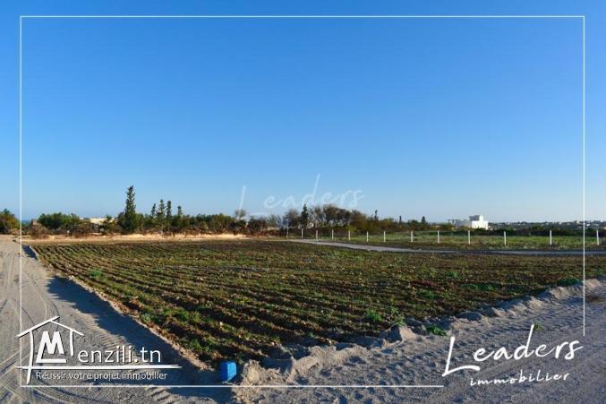 un projet de lotissement à vendre n promotion profitez .....