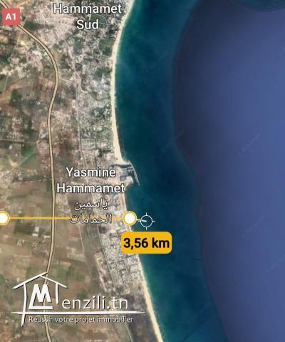TERRAIN A VENDRE SIDI MTIR / HAMMAMET SUD