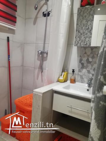 magnifique appartement S+2 à vendre