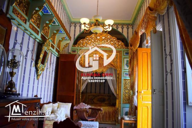 Maison arabe traditionnelle a borj erras