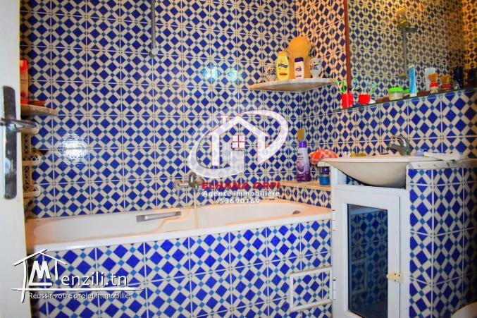 Maison arabe traditionnelle a borj erras