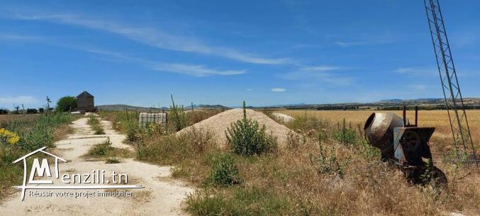 Terrain à vendre à KEF(Boulifa)