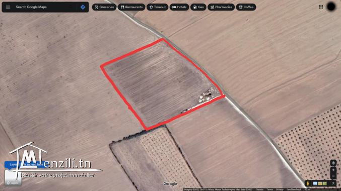 Terrain à vendre à KEF(Boulifa)