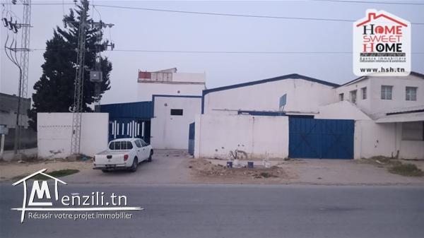 Dépôt Llanos à Vendre à Bir Kassaa