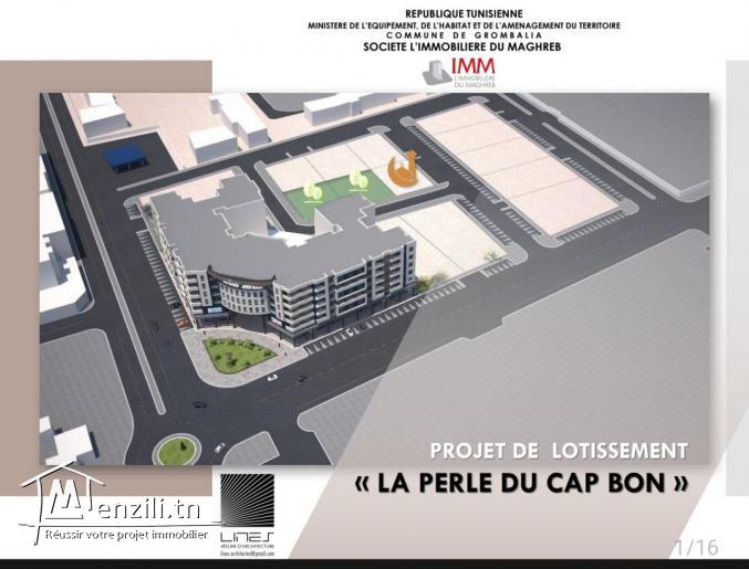 Lotissement de terrains en plein centre de Grombalia