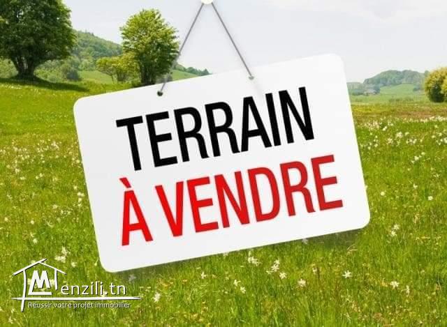 A Vendre terrain de 1178m² à la Marsa